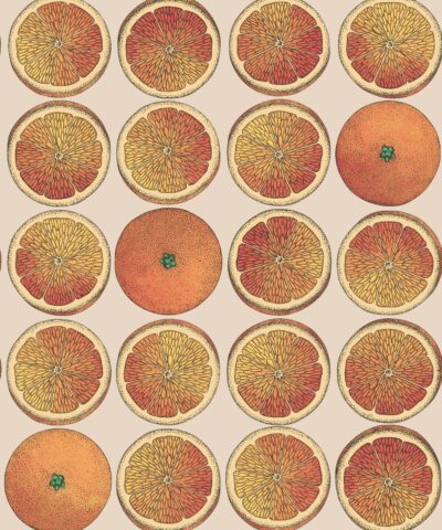 Arance Fornasetti Senza Tempo wallpaper 114-24048 Cole & Son Living Interiors.online