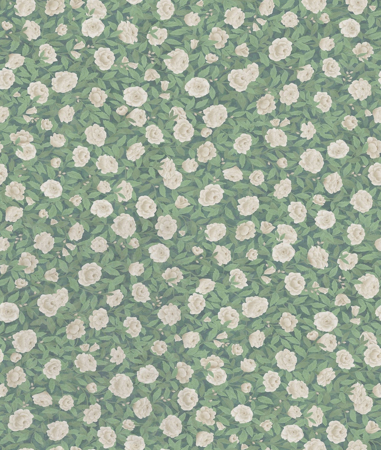 Cole & Son The Gardens Vol II Idyll Roses Linen Union Eau de Nil